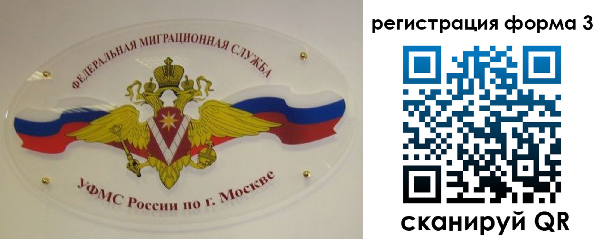 найти адрес прописки в Брянске